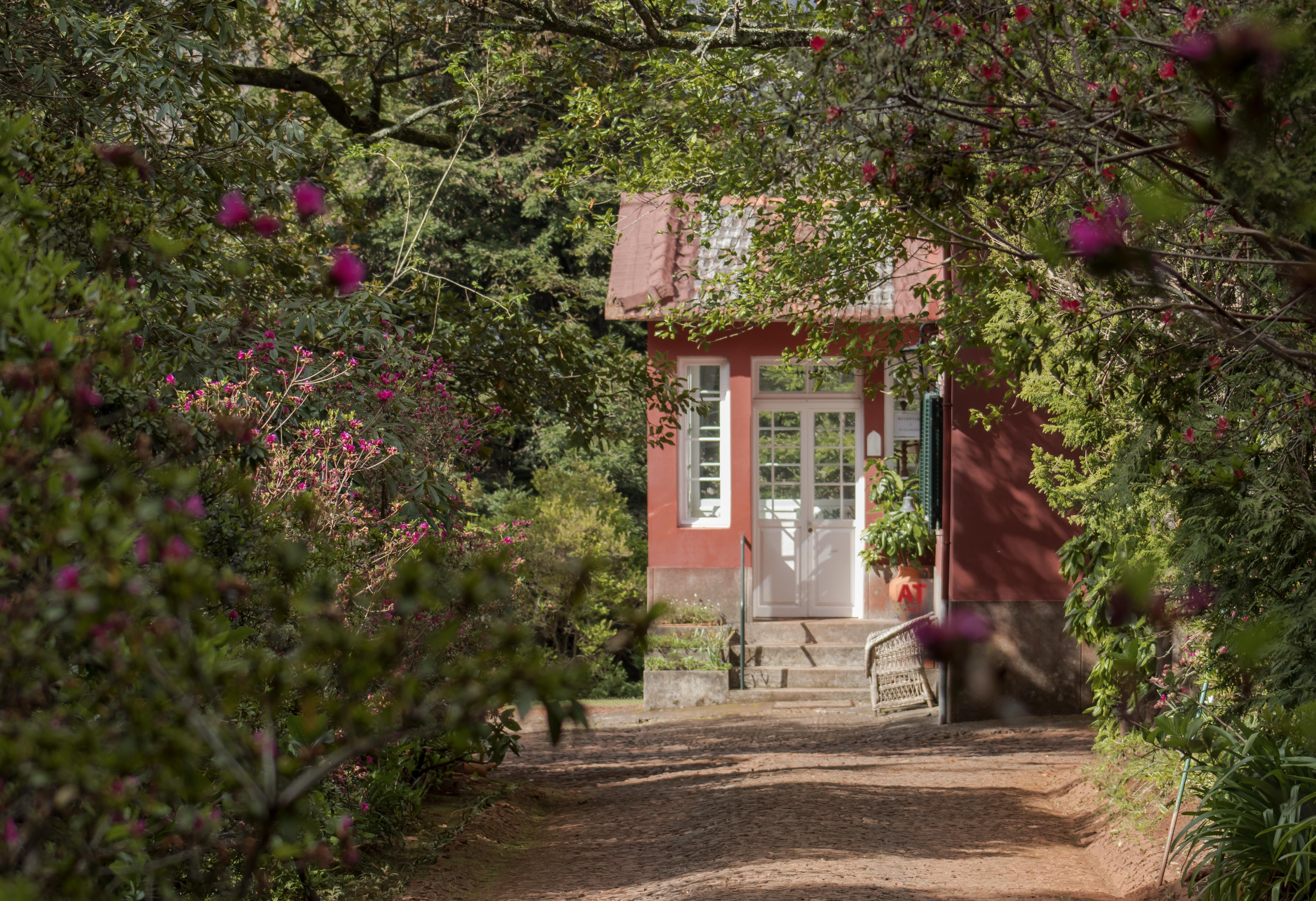 Quinta Santo Antonio Da Serra Eksteriør billede