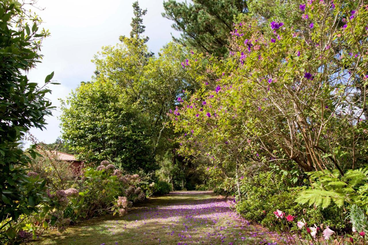 Quinta Santo Antonio Da Serra Eksteriør billede