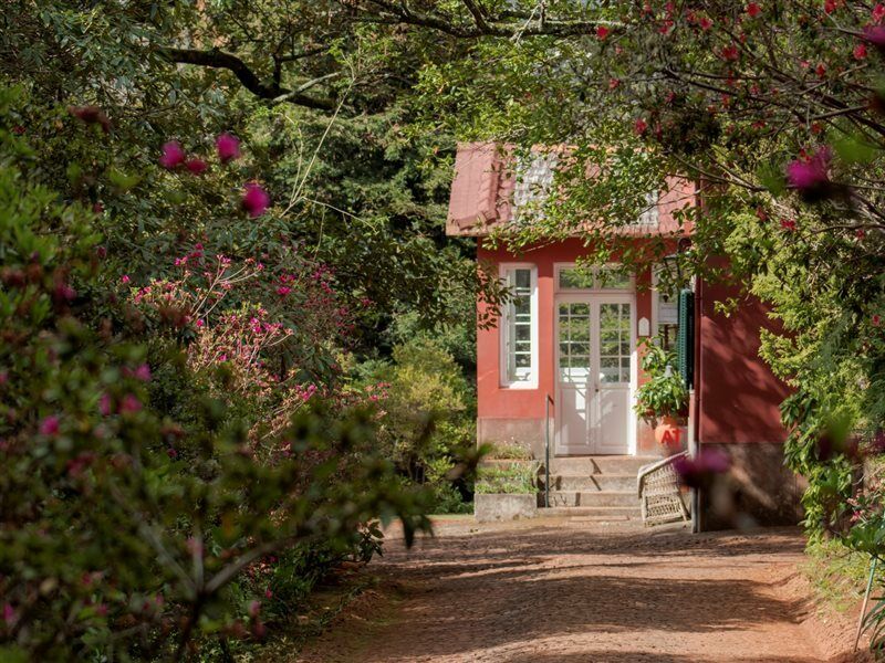 Quinta Santo Antonio Da Serra Eksteriør billede